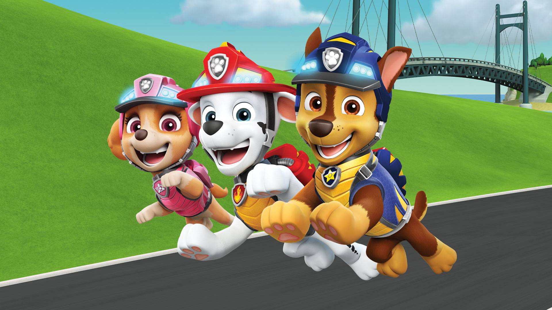 Paw Patrol S08 B26